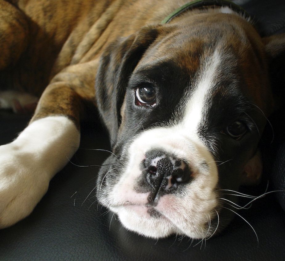 The Gossip Column: April 11, 2025